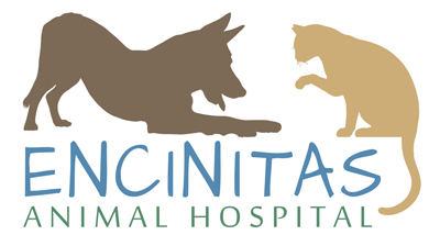 Encinitas Animal Hospital